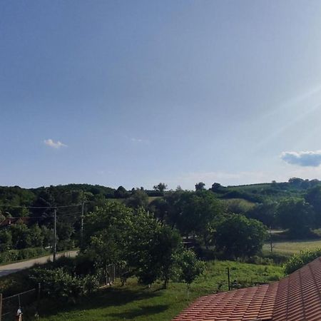 Apartman Flora Vrdnik Luaran gambar