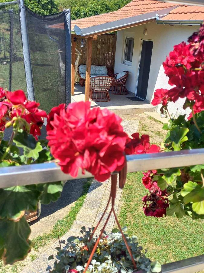 Apartman Flora Vrdnik Luaran gambar